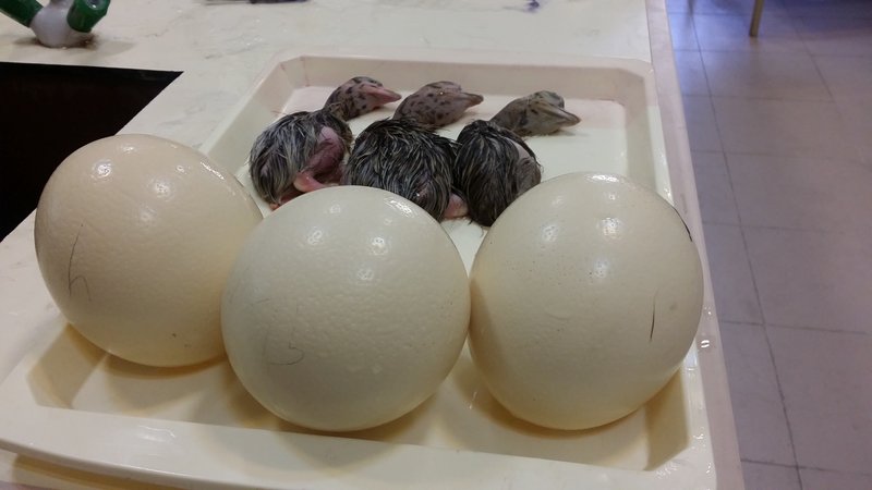 ۲۰۱۶۱۰۰۹_۱۲۱۲۳۹_14372.jpg