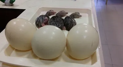 ۲۰۱۶۱۰۰۹_۱۲۱۲۳۹_14372.jpg
